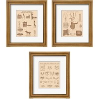 Framed Equine Riding Gear 3 Piece Framed Art Print Set