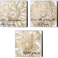 Framed Metallic Floral Quote 3 Piece Canvas Print Set