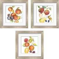 Framed Harvest Medley 3 Piece Framed Art Print Set