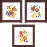 Framed Harvest Medley 3 Piece Framed Art Print Set