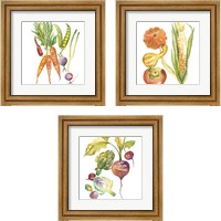 Framed 'Harvest Medley 3 Piece Framed Art Print Set' border=