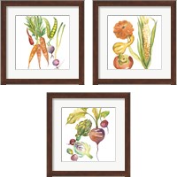 Framed 'Harvest Medley 3 Piece Framed Art Print Set' border=