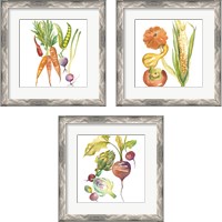 Framed 'Harvest Medley 3 Piece Framed Art Print Set' border=