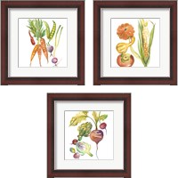 Framed Harvest Medley 3 Piece Framed Art Print Set