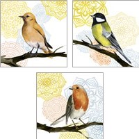 Framed 'Mandala Bird 3 Piece Art Print Set' border=