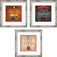 Framed 'Still Life Wine Label 3 Piece Framed Art Print Set' border=