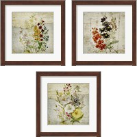 Framed 'Flower Print Grunge 3 Piece Framed Art Print Set' border=