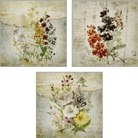 Framed 'Flower Print Grunge 3 Piece Art Print Set' border=