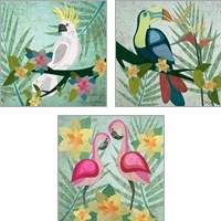 Framed 'Tropical Bird 3 Piece Art Print Set' border=