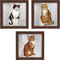 Framed 'Country Kitty on Wood 3 Piece Framed Art Print Set' border=