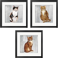 Framed Country Kitty on Wood 3 Piece Framed Art Print Set