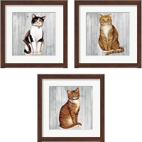 Framed 'Country Kitty on Wood 3 Piece Framed Art Print Set' border=