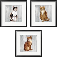 Framed 'Country Kitty on Wood 3 Piece Framed Art Print Set' border=