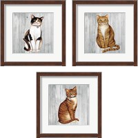 Framed Country Kitty on Wood 3 Piece Framed Art Print Set