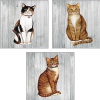 Framed Country Kitty on Wood 3 Piece Art Print Set