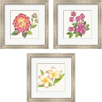 Framed 'Tropical Fun Flowers 3 Piece Framed Art Print Set' border=