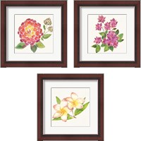 Framed 'Tropical Fun Flowers 3 Piece Framed Art Print Set' border=