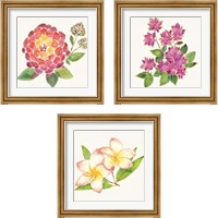 Framed 'Tropical Fun Flowers 3 Piece Framed Art Print Set' border=