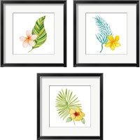Framed Treasures of the Tropics 3 Piece Framed Art Print Set