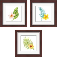 Framed Treasures of the Tropics 3 Piece Framed Art Print Set