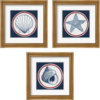 Framed 'Summer Shells Nautical 3 Piece Framed Art Print Set' border=