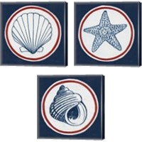 Framed 'Summer Shells Nautical 3 Piece Canvas Print Set' border=