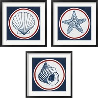 Framed Summer Shells Nautical 3 Piece Framed Art Print Set