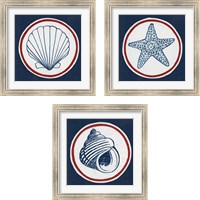 Framed Summer Shells Nautical 3 Piece Framed Art Print Set