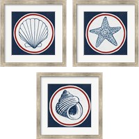 Framed 'Summer Shells Nautical 3 Piece Framed Art Print Set' border=