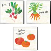 Framed 'Kitchen Garden Cream 3 Piece Canvas Print Set' border=