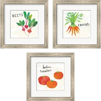 Framed 'Kitchen Garden Cream 3 Piece Framed Art Print Set' border=