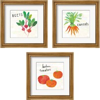 Framed 'Kitchen Garden Cream 3 Piece Framed Art Print Set' border=