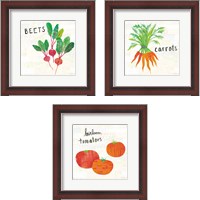 Framed 'Kitchen Garden Cream 3 Piece Framed Art Print Set' border=