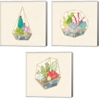 Framed 'Succulent Terrarium 3 Piece Canvas Print Set' border=