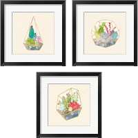 Framed Succulent Terrarium 3 Piece Framed Art Print Set