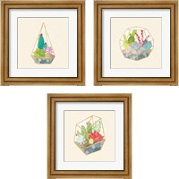 Framed 'Succulent Terrarium 3 Piece Framed Art Print Set' border=