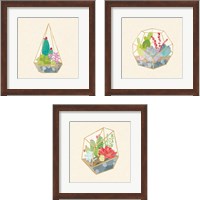 Framed Succulent Terrarium 3 Piece Framed Art Print Set