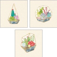 Framed 'Succulent Terrarium 3 Piece Art Print Set' border=