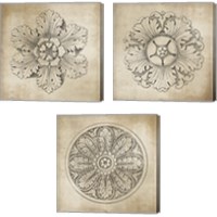 Framed 'Rosette Neutral 3 Piece Canvas Print Set' border=