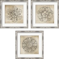 Framed 'Rosette Neutral 3 Piece Framed Art Print Set' border=