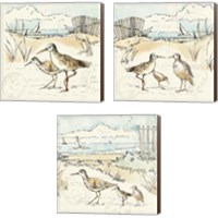 Framed 'Coastal Breeze 3 Piece Canvas Print Set' border=