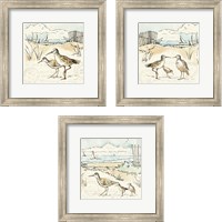 Framed 'Coastal Breeze 3 Piece Framed Art Print Set' border=