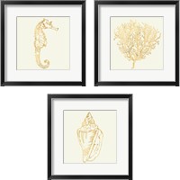 Framed 'Coastal Breese Shell Sketches 3 Piece Framed Art Print Set' border=