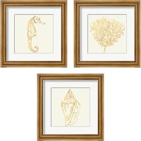 Framed 'Coastal Breese Shell Sketches 3 Piece Framed Art Print Set' border=