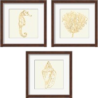 Framed 'Coastal Breese Shell Sketches 3 Piece Framed Art Print Set' border=