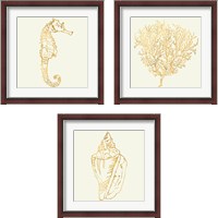 Framed Coastal Breese Shell Sketches 3 Piece Framed Art Print Set