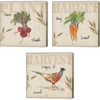 Framed 'Farmers Feast 3 Piece Canvas Print Set' border=