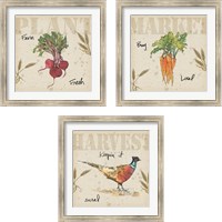 Framed 'Farmers Feast 3 Piece Framed Art Print Set' border=