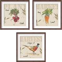 Framed Farmers Feast 3 Piece Framed Art Print Set