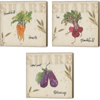 Framed 'Farmers Feast Harvest 3 Piece Canvas Print Set' border=